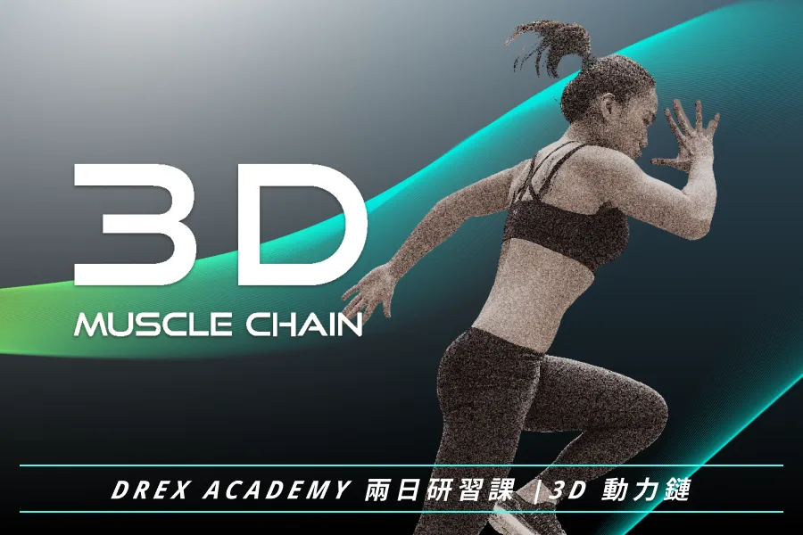 3D動力鏈